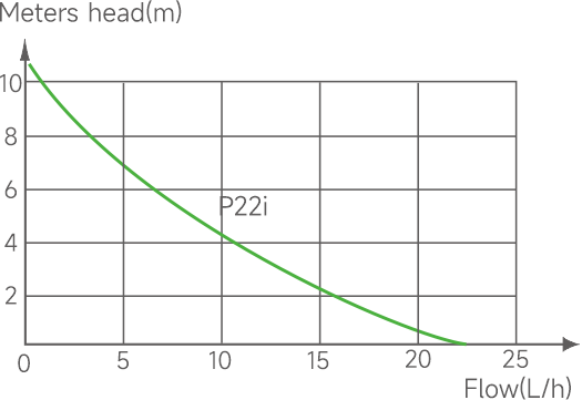 P22i 2